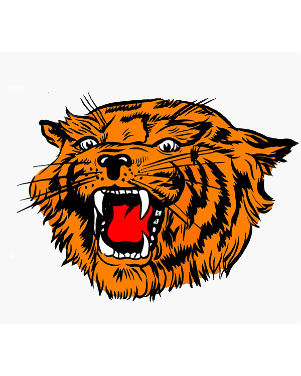 Logo of Delmar High School